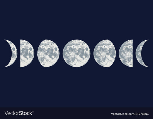 Fishing Forecast: November New Moon Period