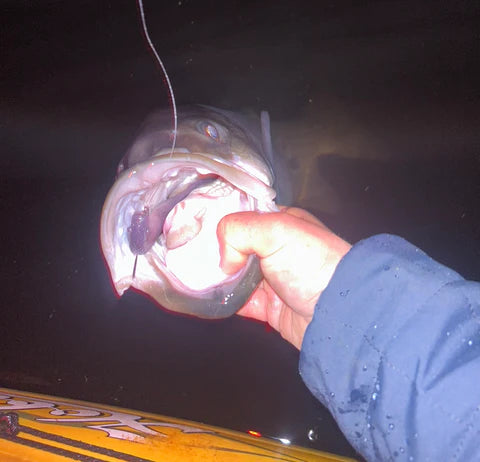 Fishing Forecast - April New Moon 2024