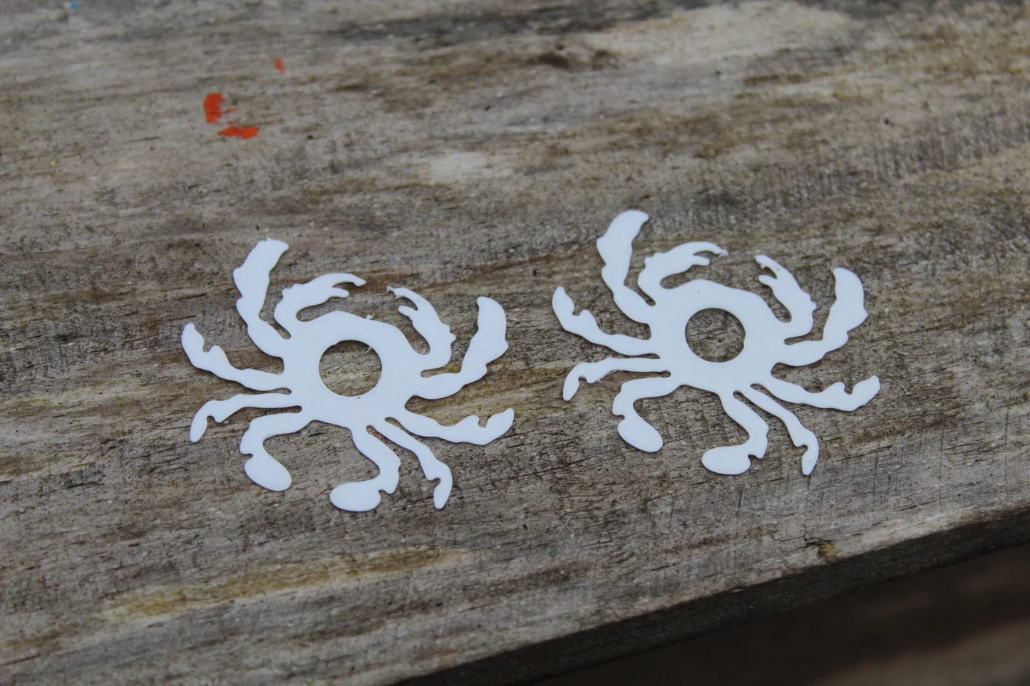RHF Moon Crab