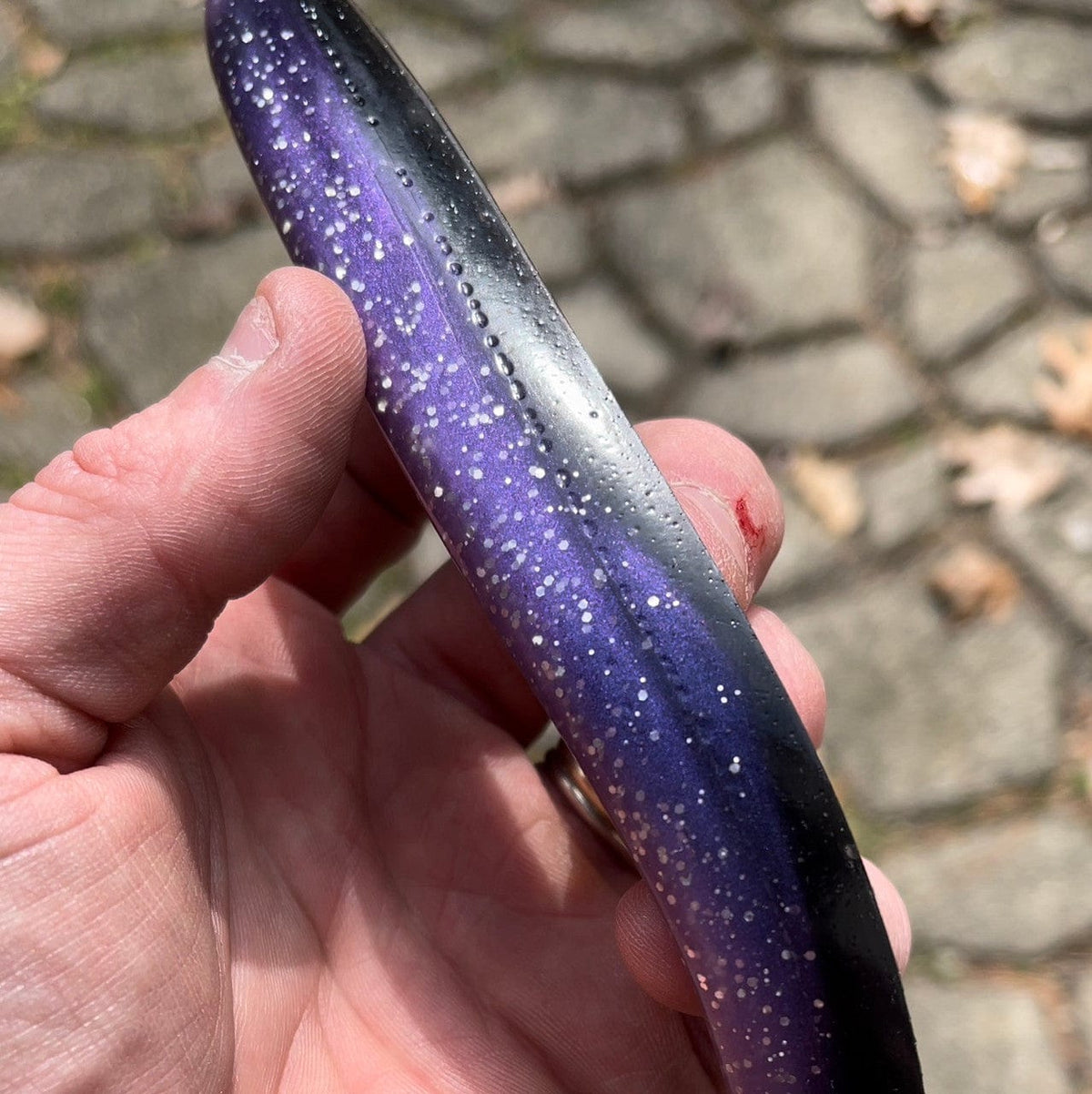 Block Island Eels (14.5 Inch) Blurple