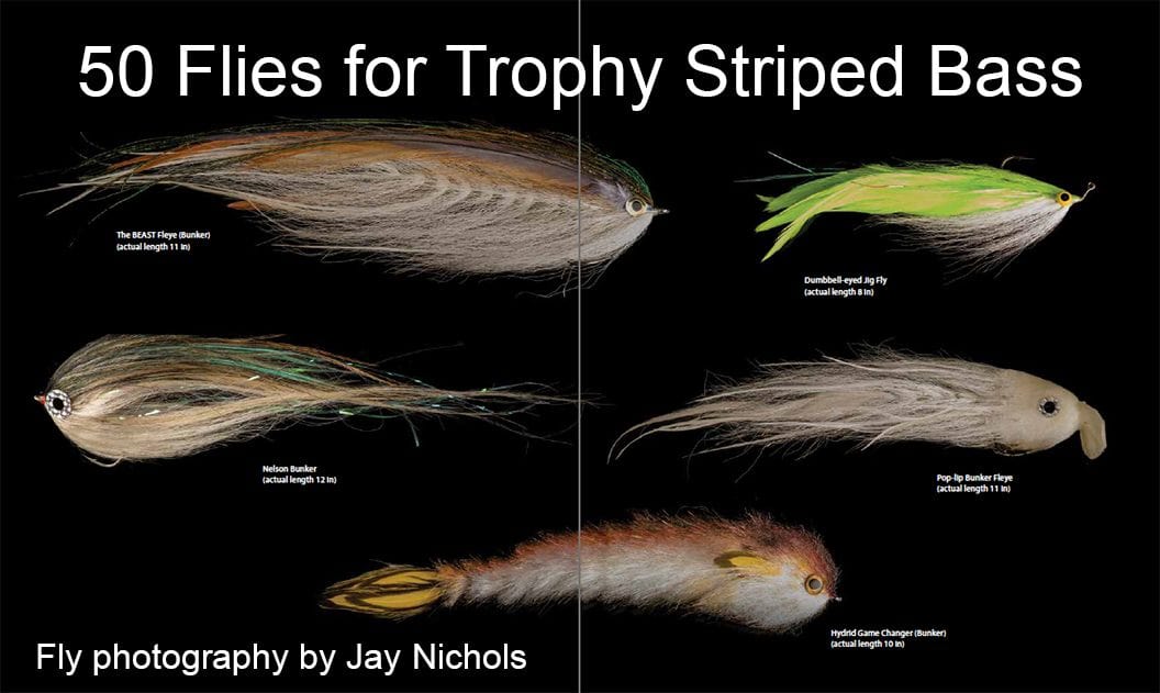 Fly Fishing For Trophy Striped Bass - John Field