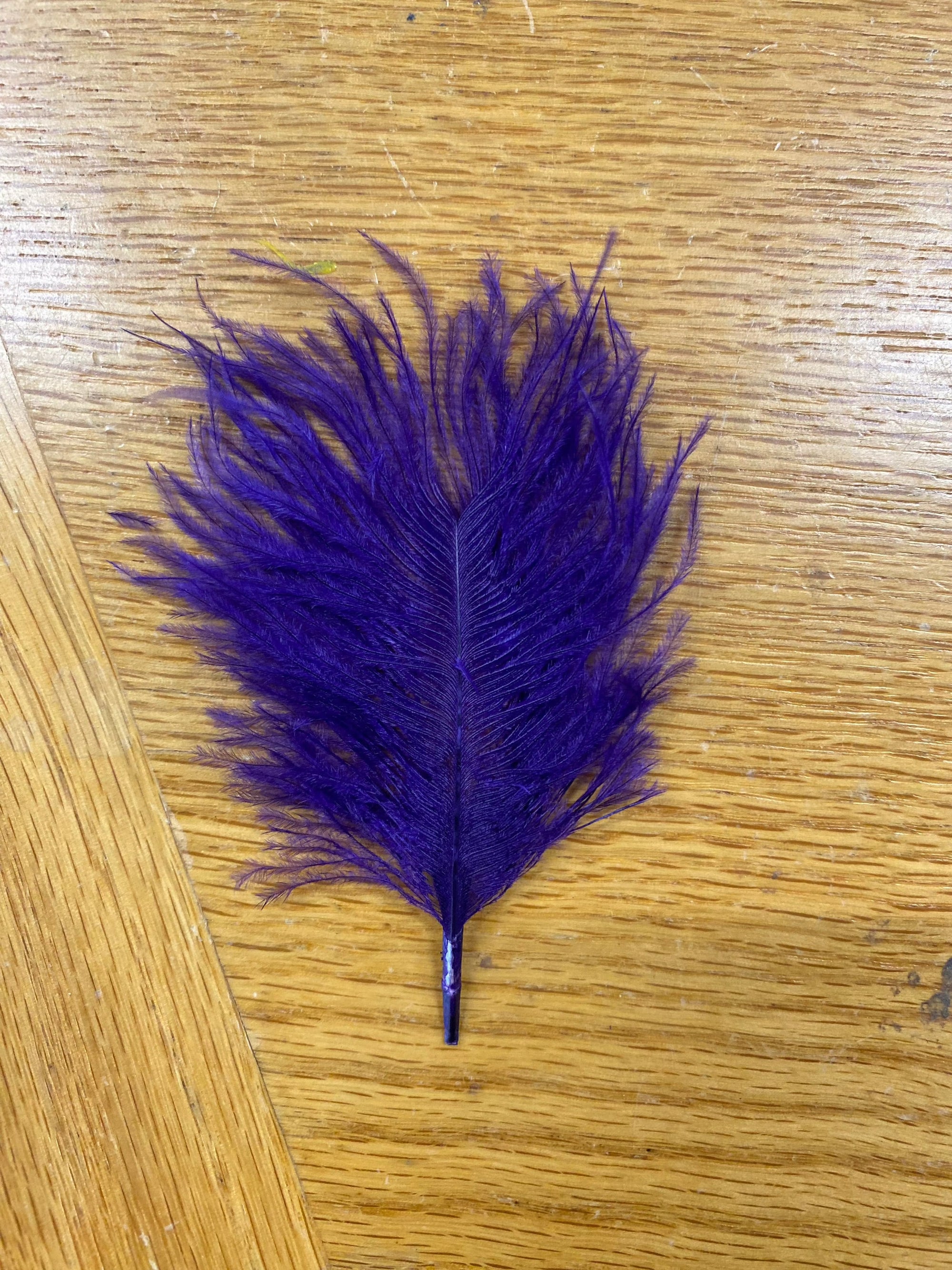 Ostrich Marabou