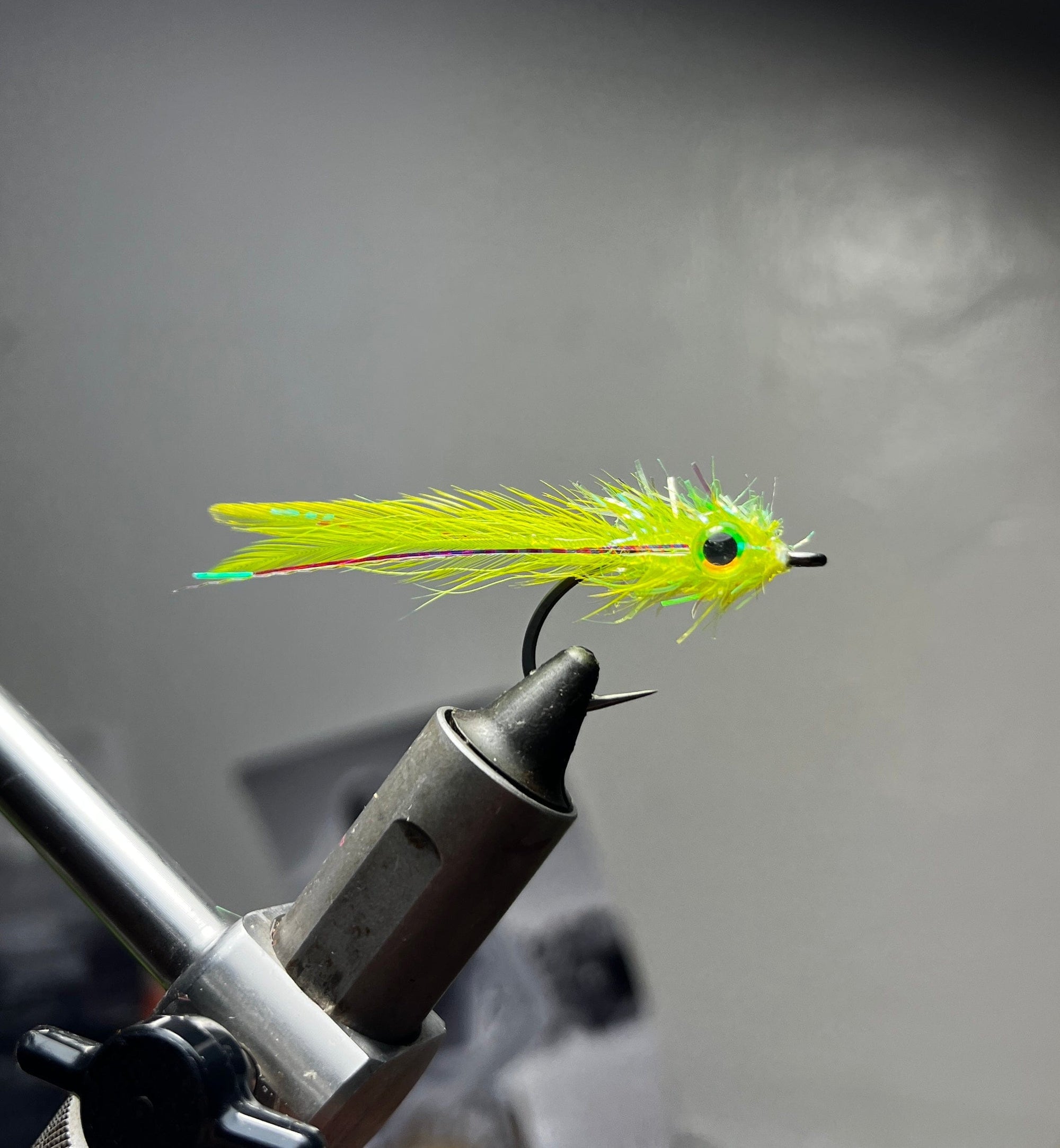 Albie Escort