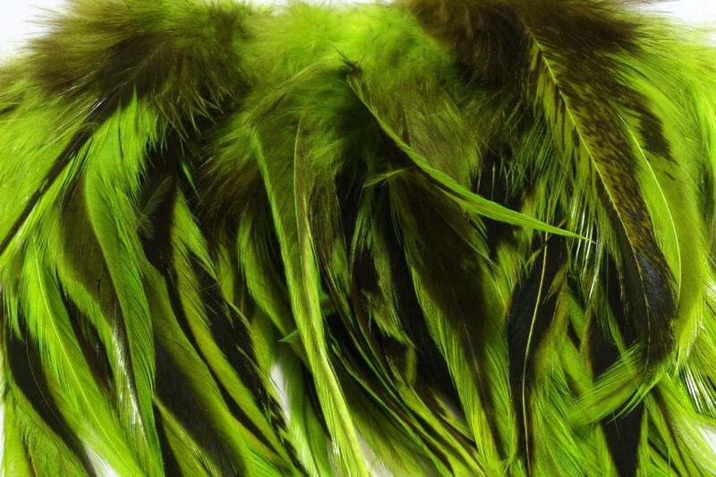 Badger Saddle Hackle Chartreuse