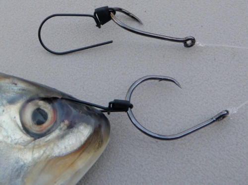 3D Fishing Ultimate Bait Bridle