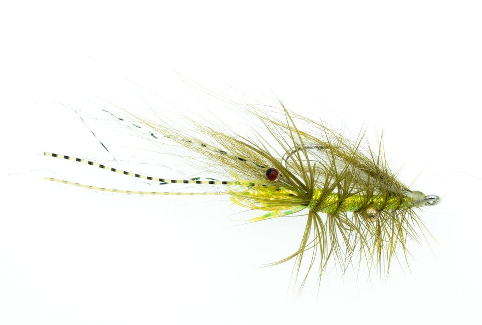 Chewy's Halo Shrimp