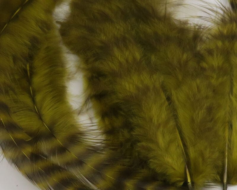 Grizzly Soft Hackle Shrimp Pink