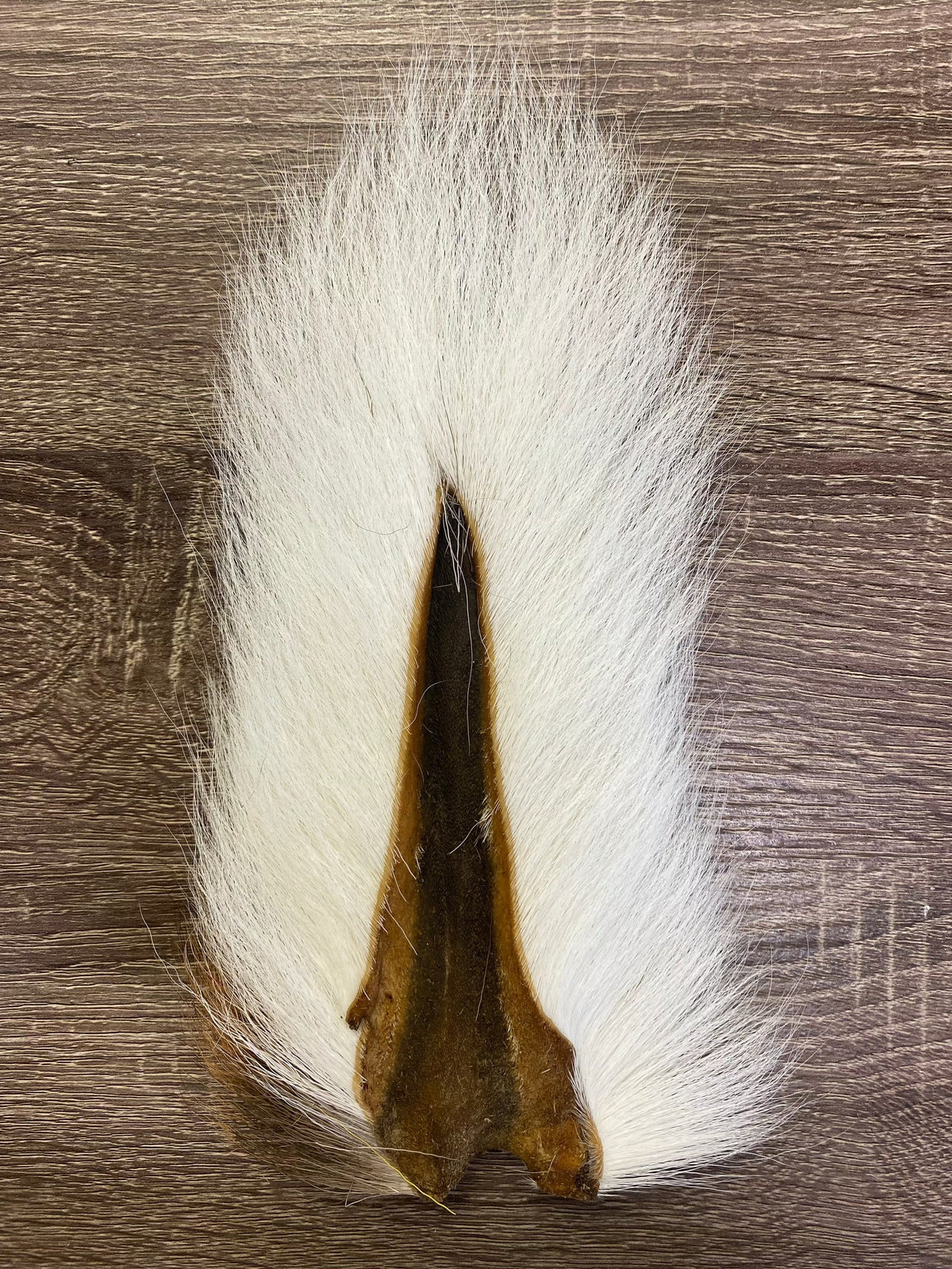Saltwater Edge Bucktail Standard / White