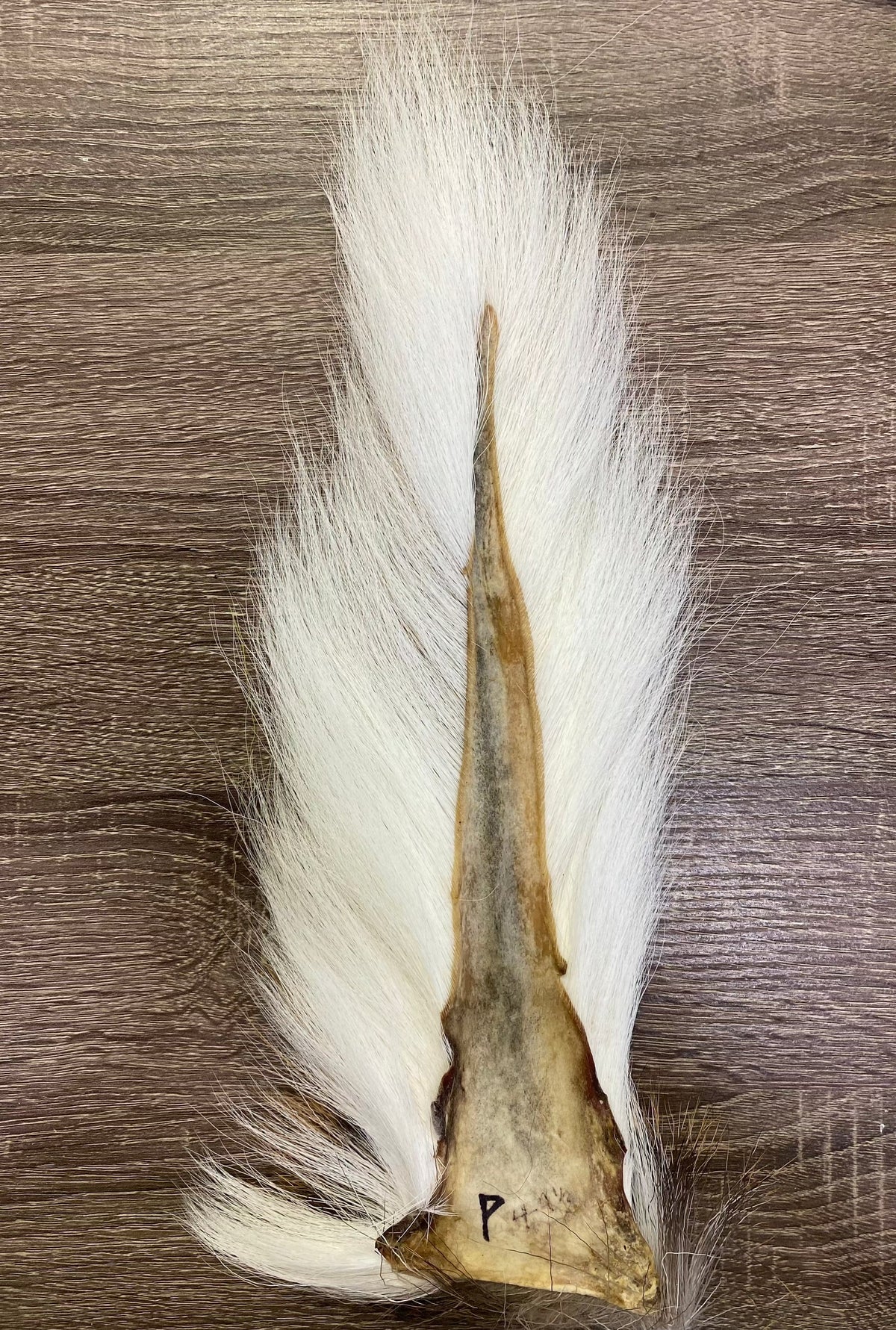 Saltwater Edge Bucktail Premium / White