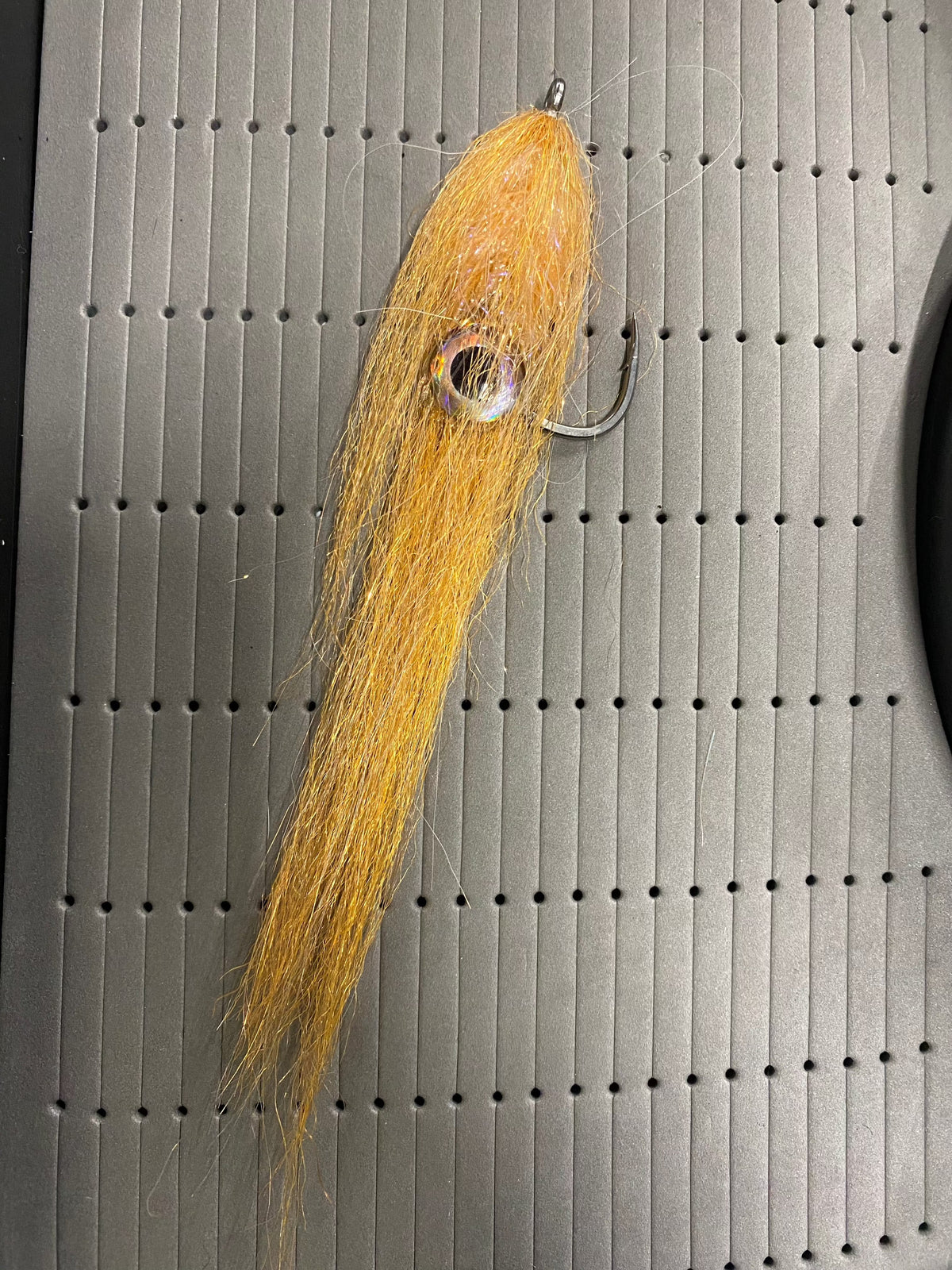 Red Can Squid Amber