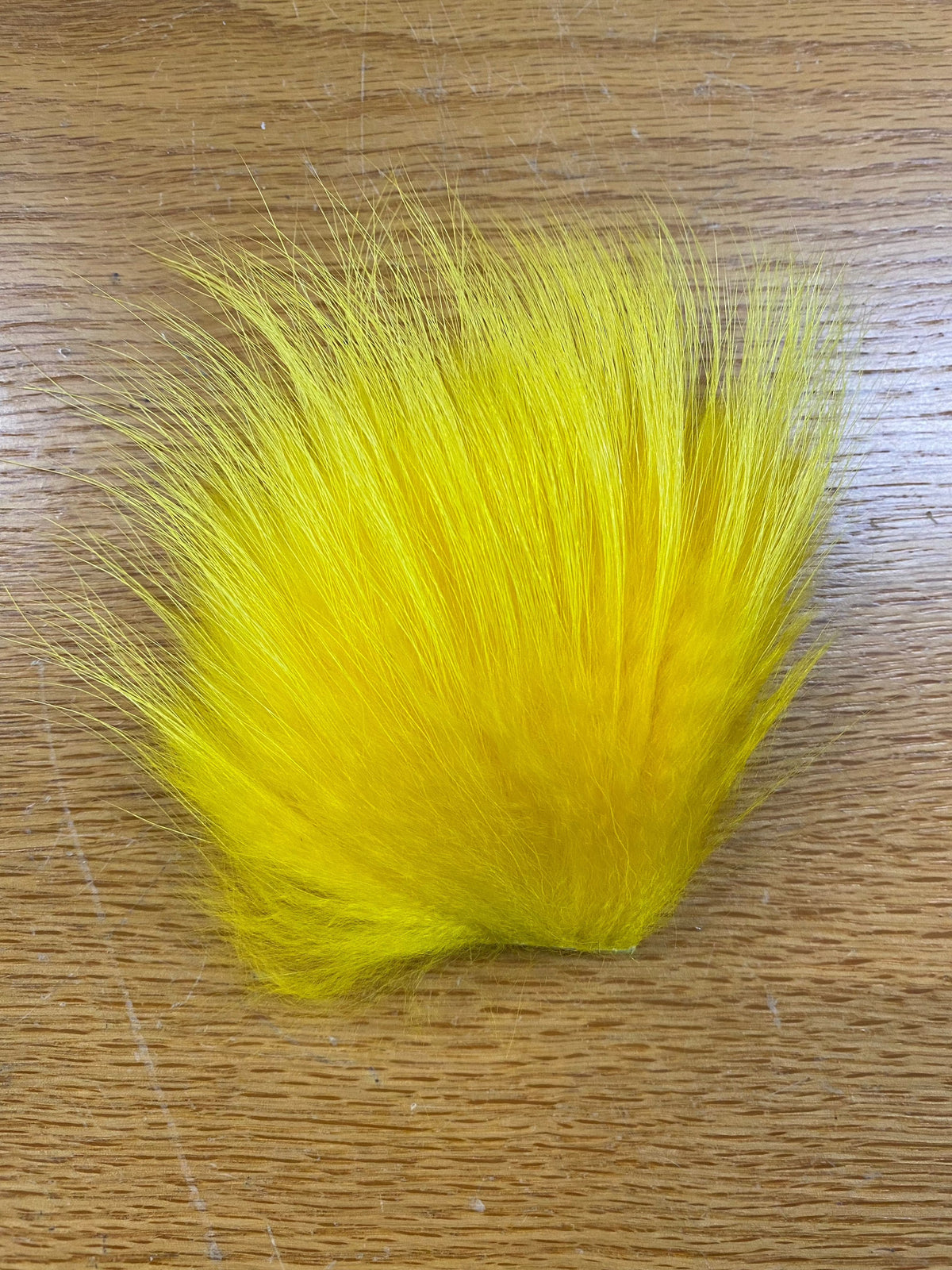 Finn Raccoon Yellow