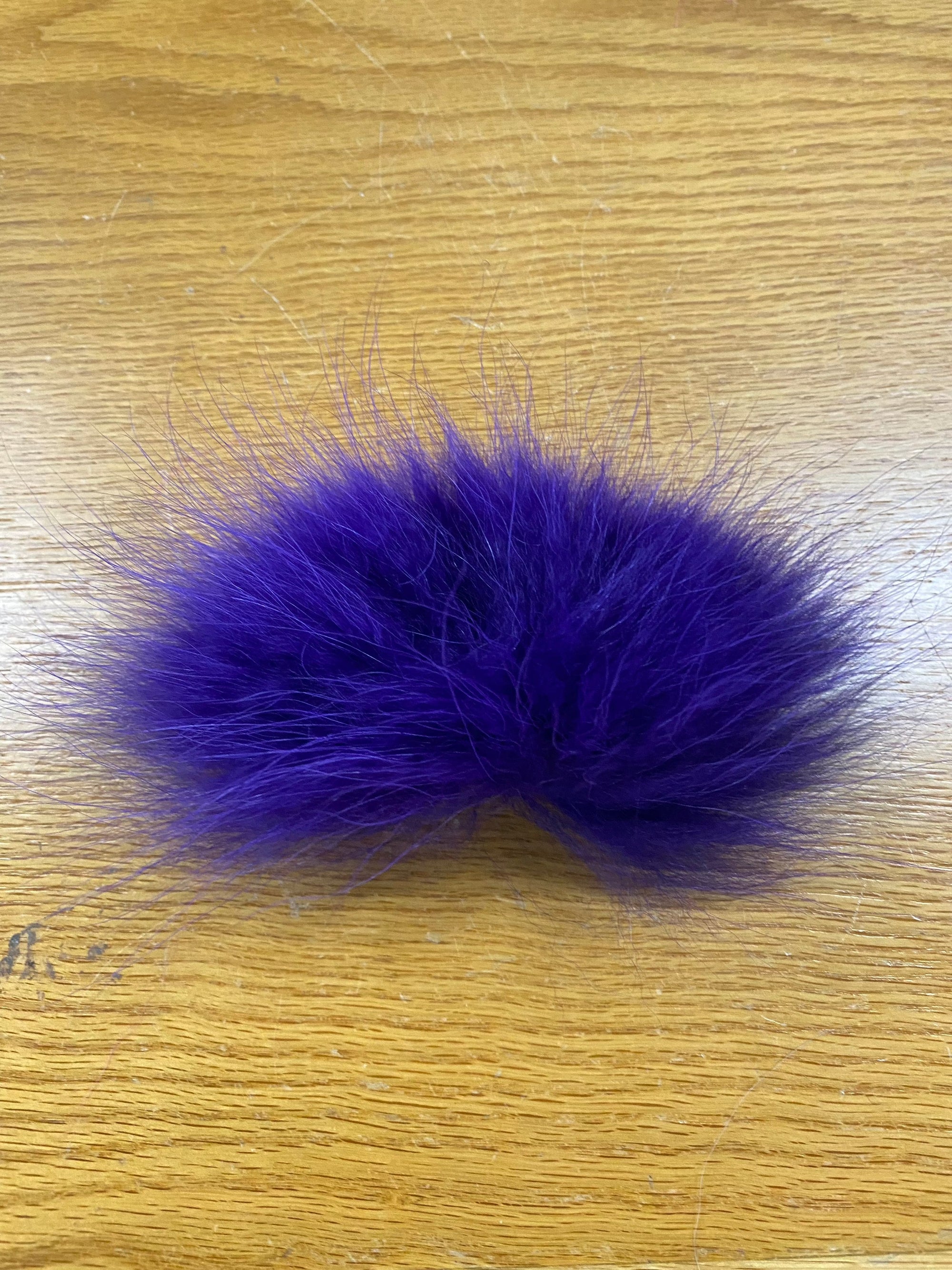 Finn Raccoon Kingfisher Blue
