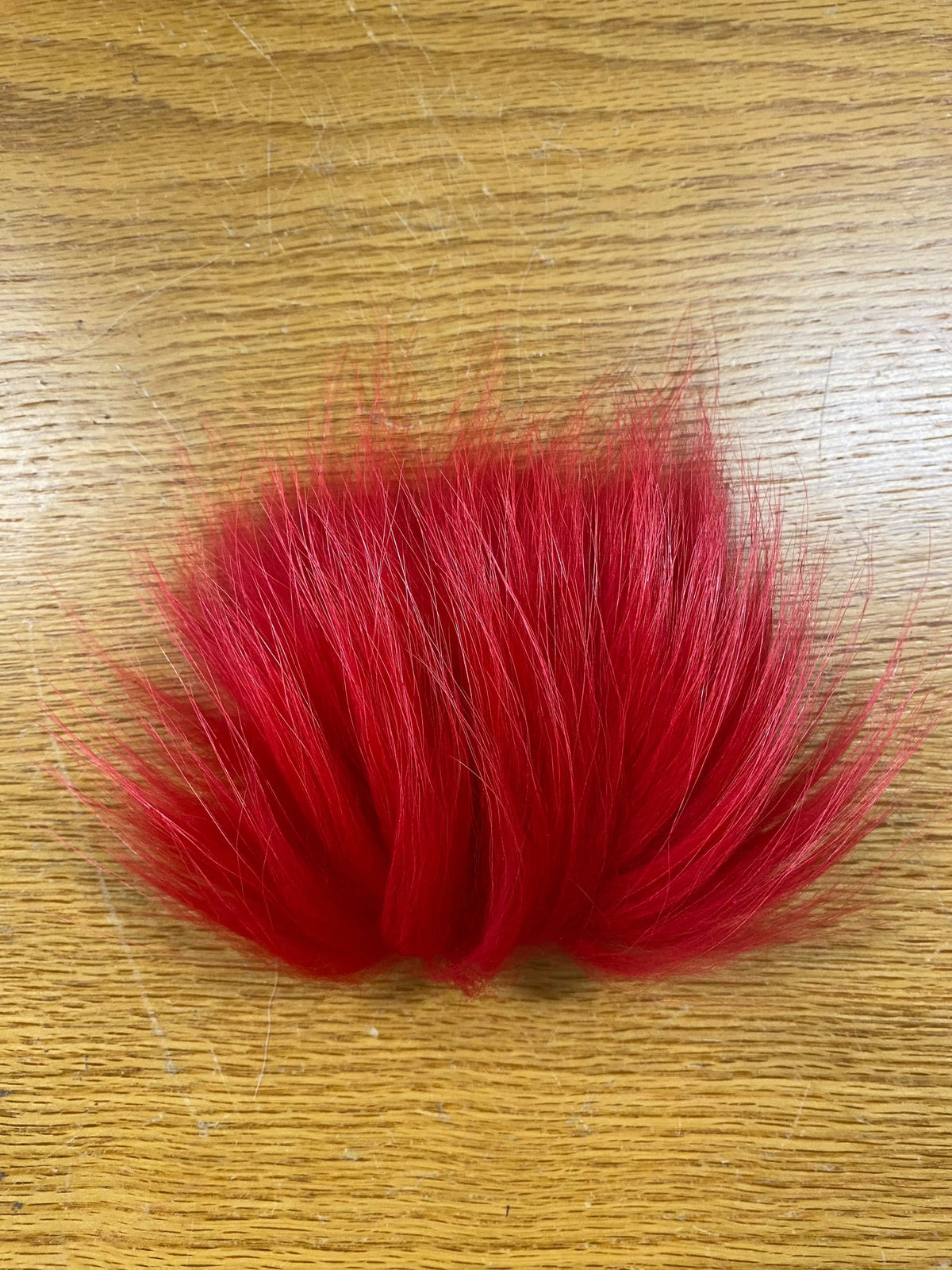 Finn Raccoon Red