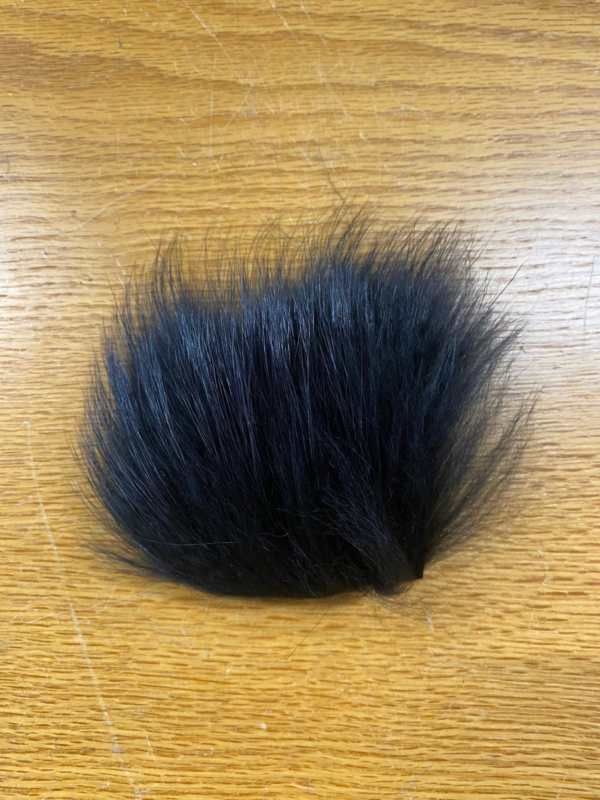 Finn Raccoon Black
