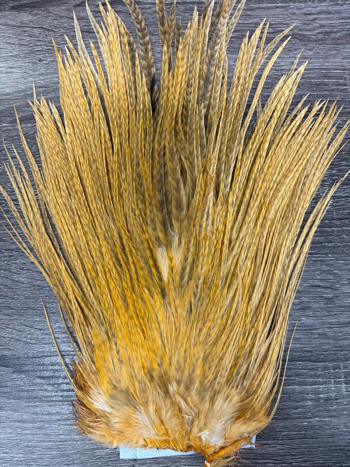 Ewing Saddle Hackle Peach Grizzly