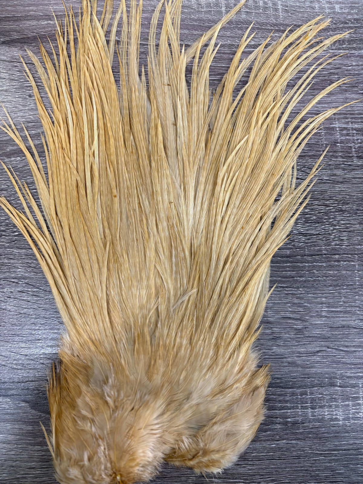 Ewing Saddle Hackle Honey