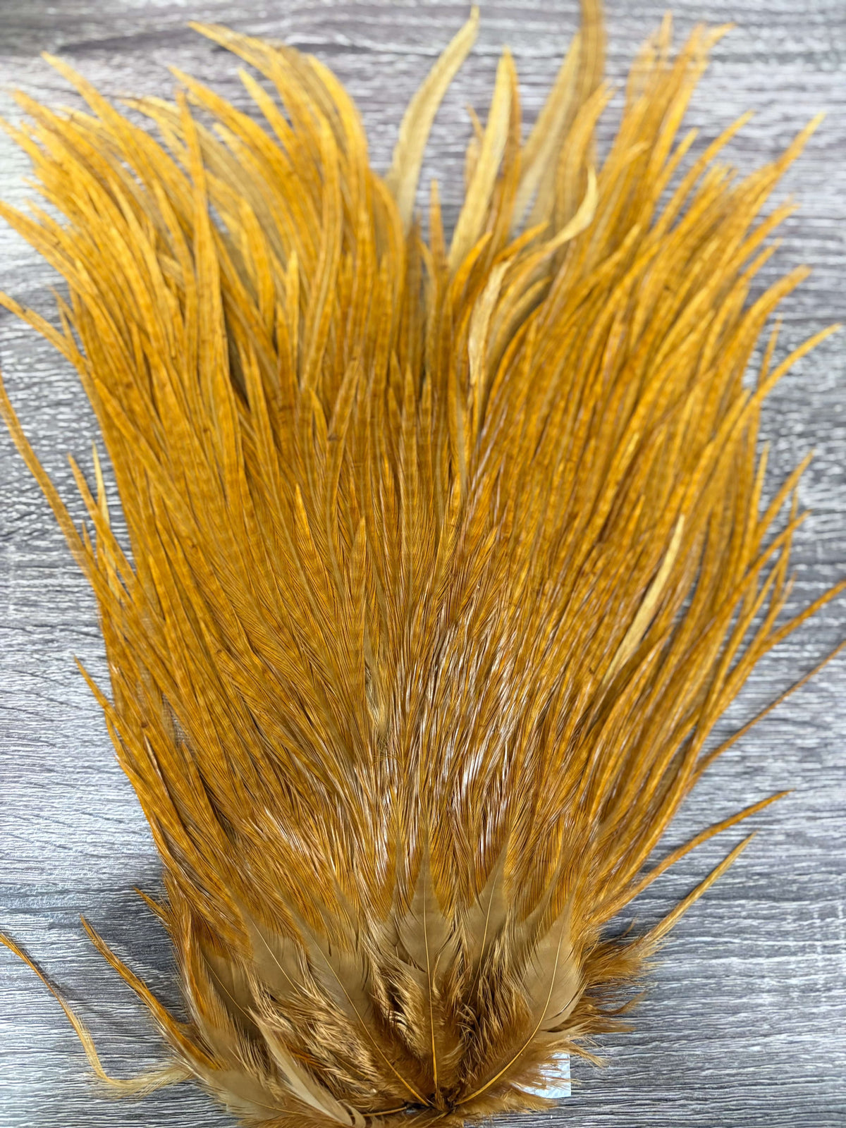 Ewing Saddle Hackle Ginger