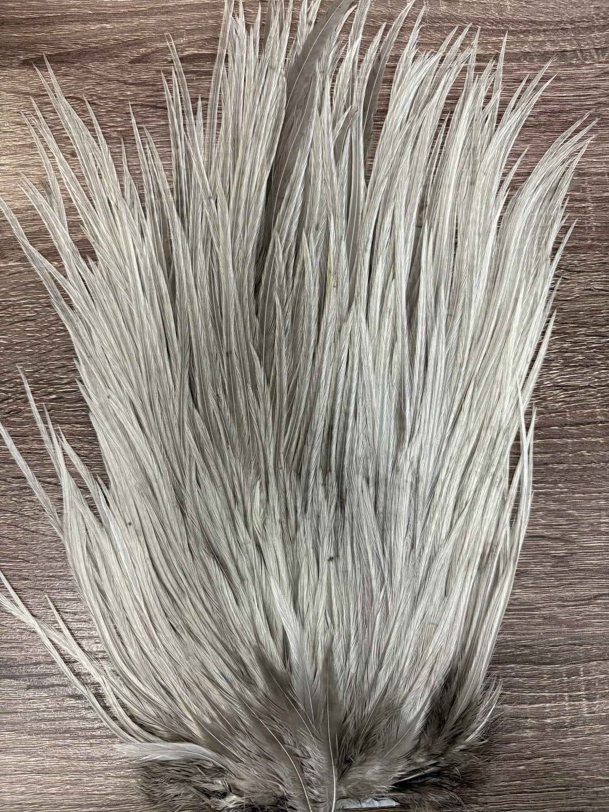 Ewing Saddle Hackle Medium Blue Dun