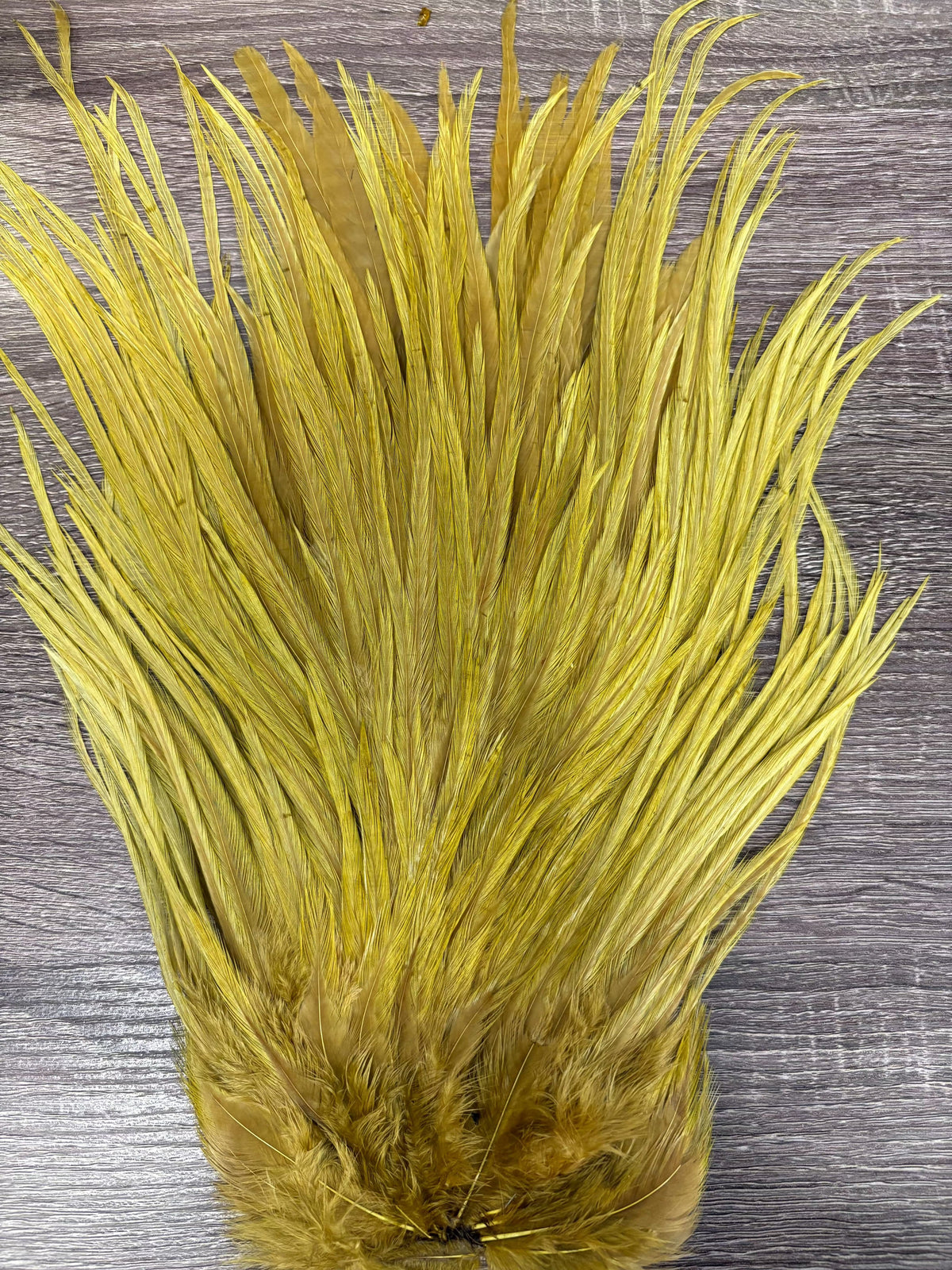 Ewing Saddle Hackle Golden Olive