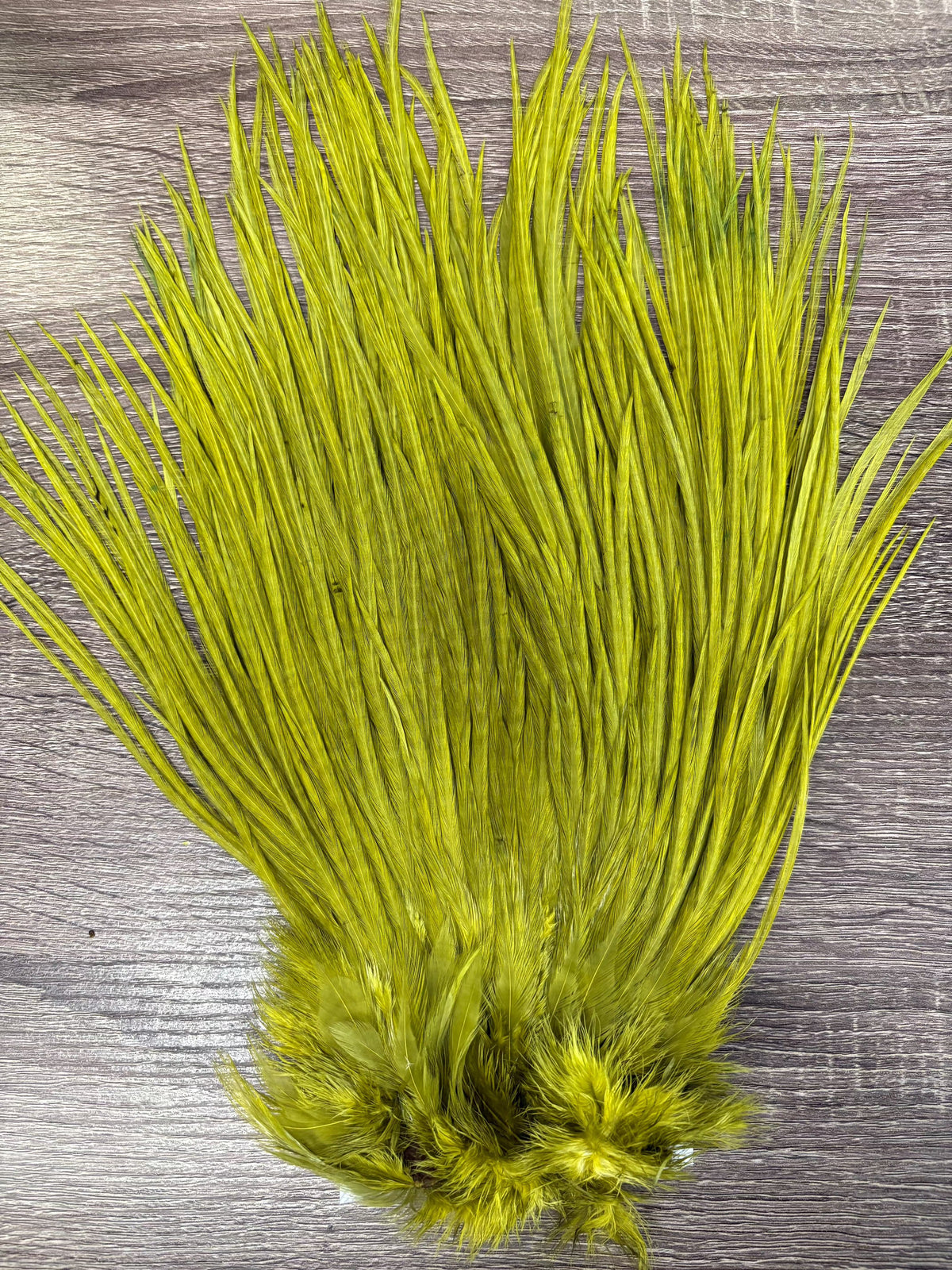 Ewing Saddle Hackle Olive