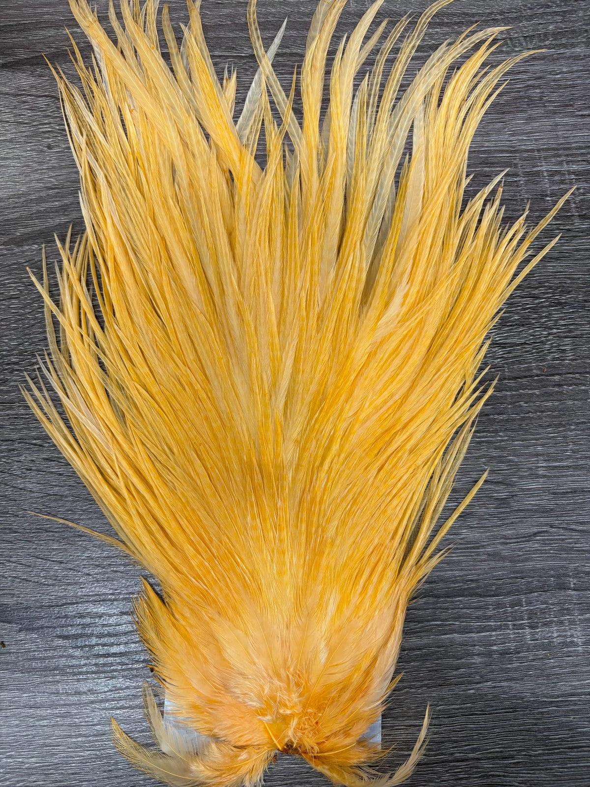 Ewing Saddle Hackle Peach