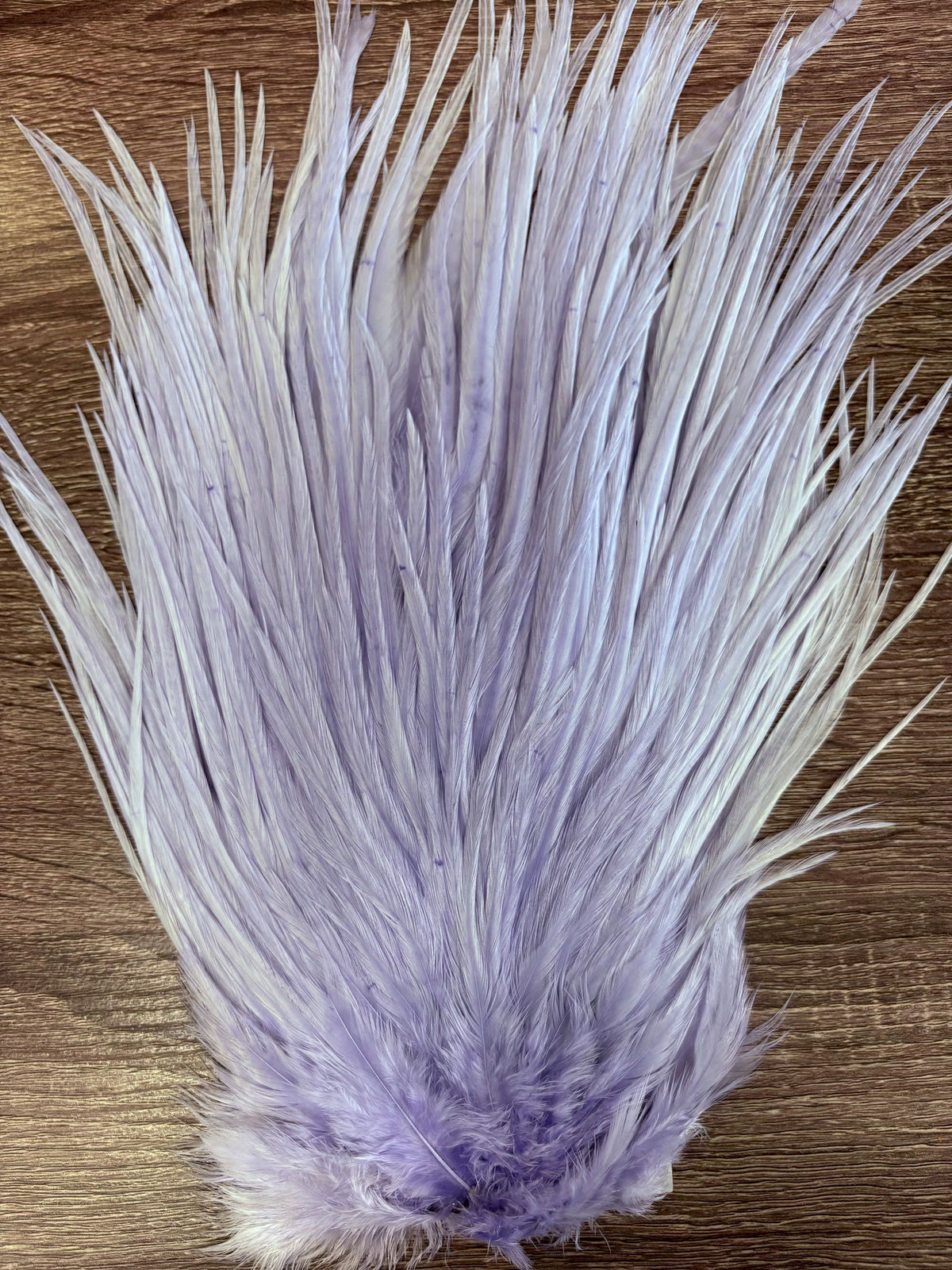 Ewing Saddle Hackle Lavender