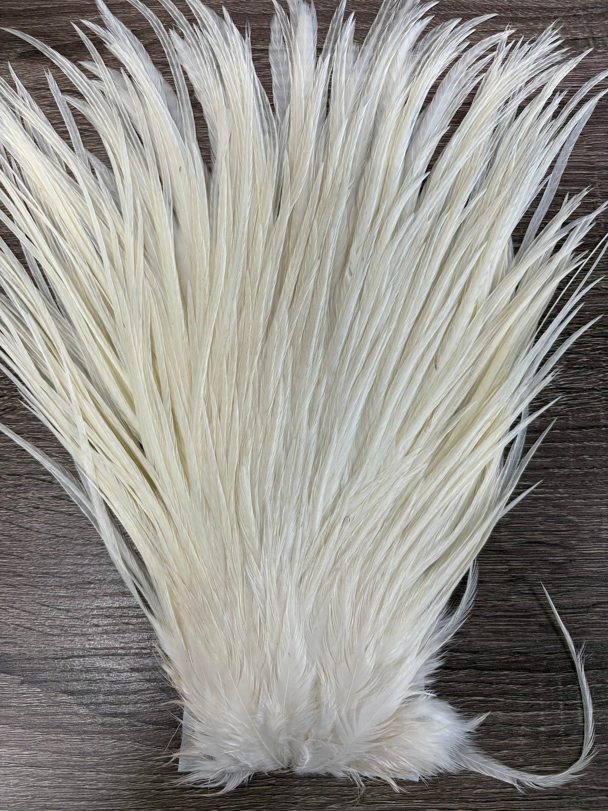 Ewing Saddle Hackle White