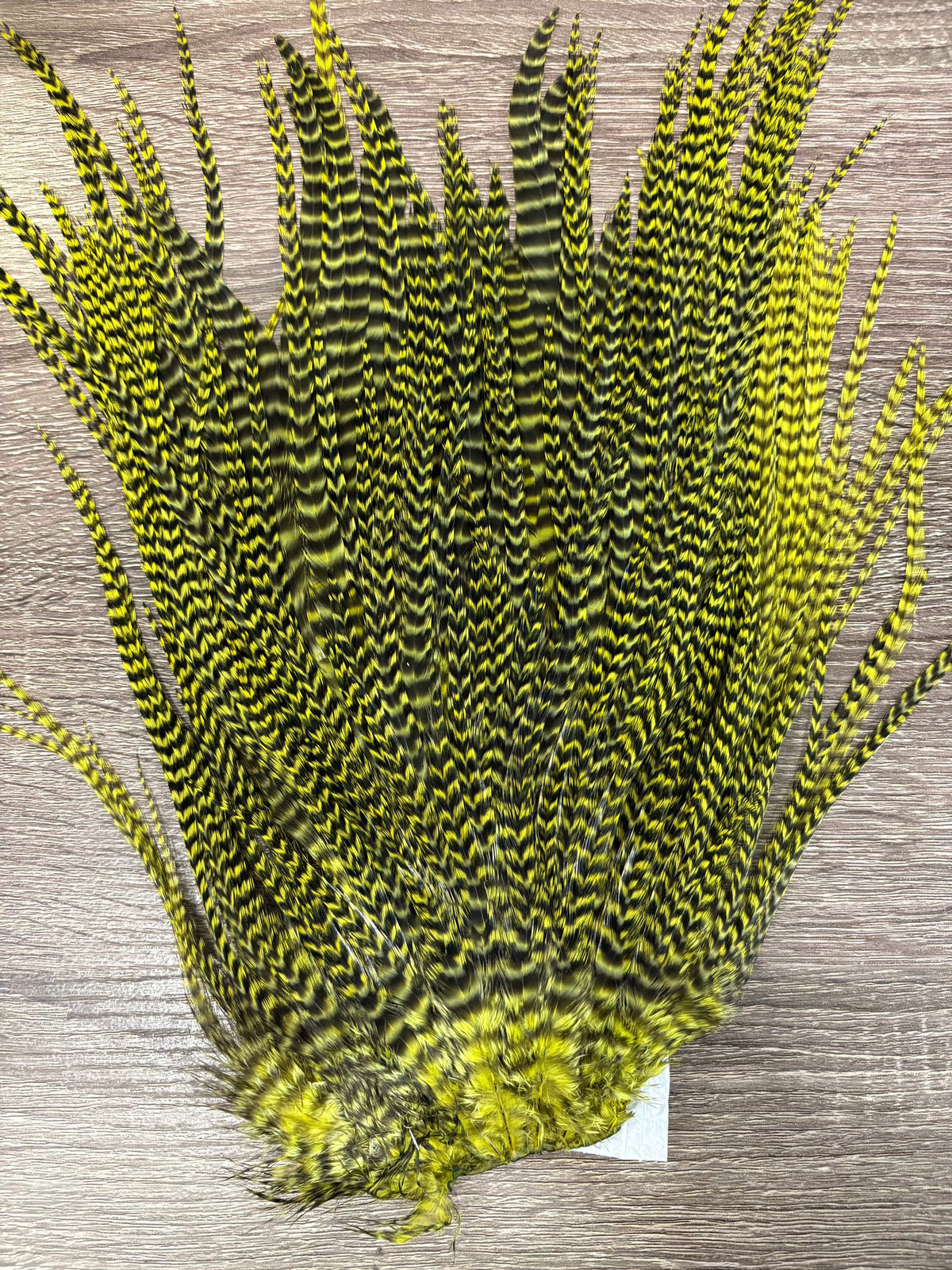 Ewing Saddle Hackle Chartreuse Grizzly