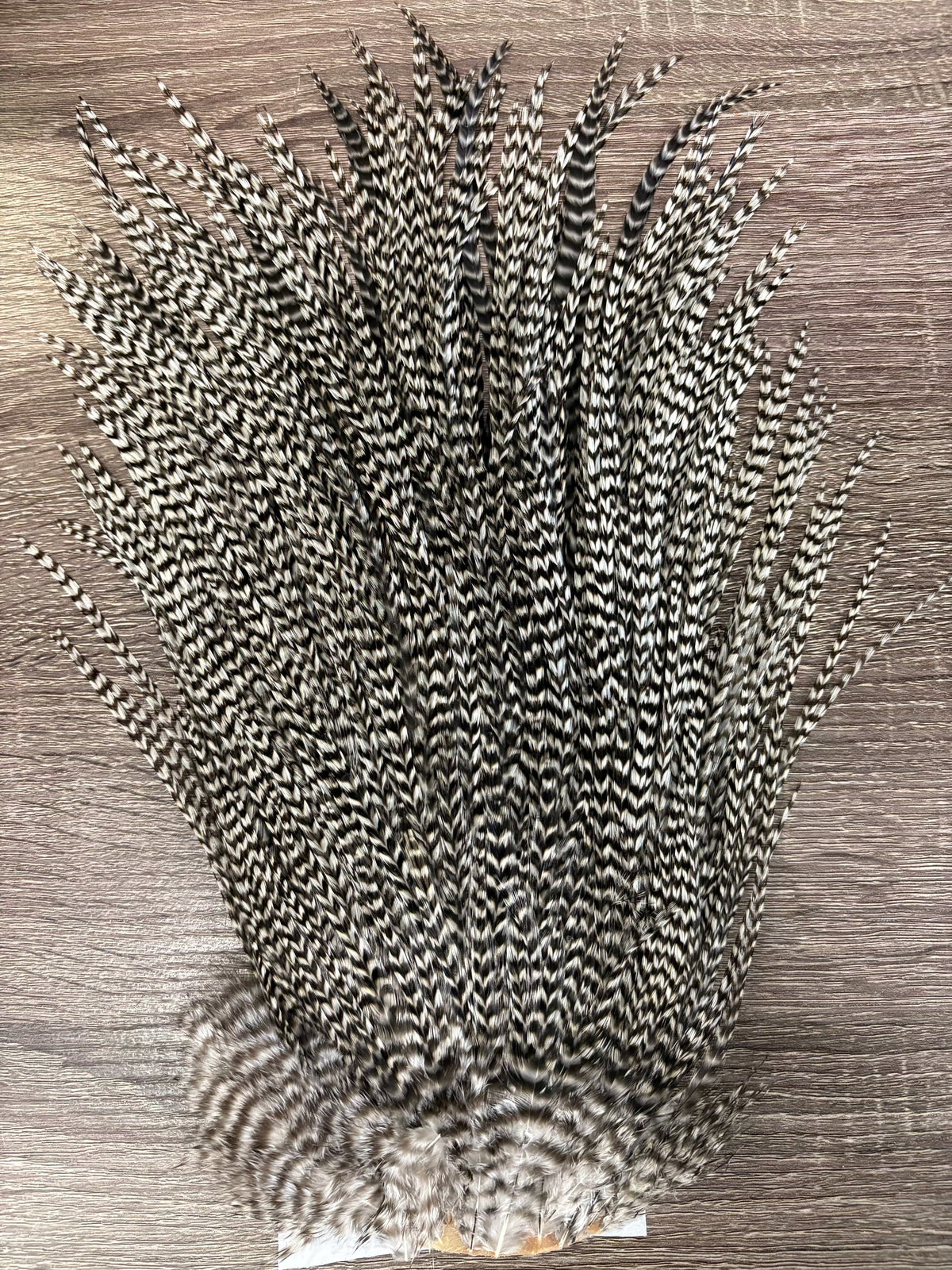 Ewing Saddle Hackle Natural Grizzly