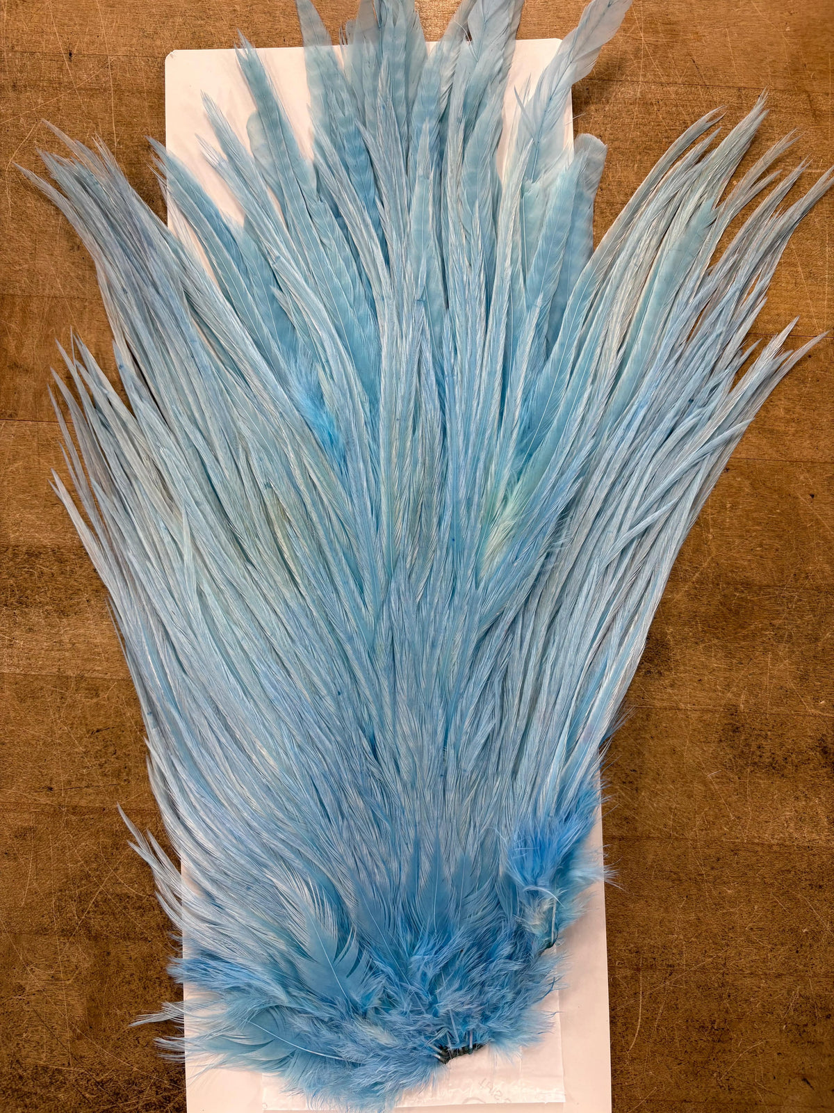 Ewing Saddle Hackle