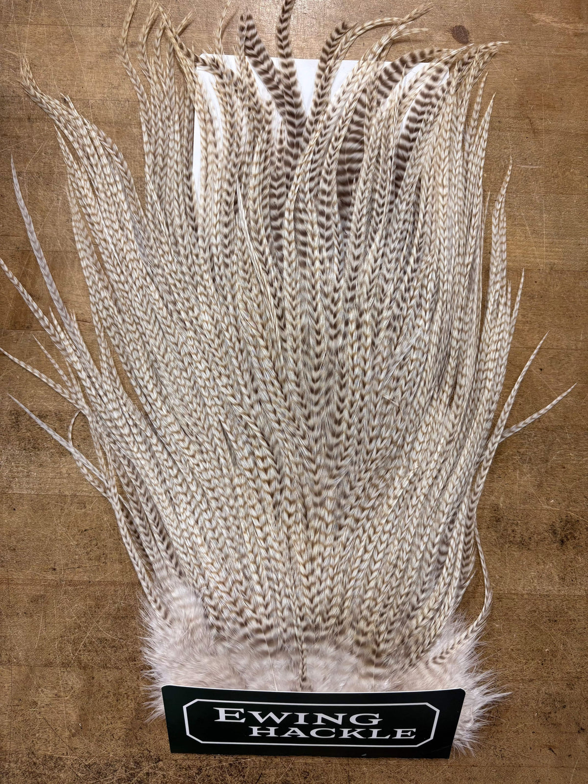 Ewing Saddle Hackle Bleached Grizzly