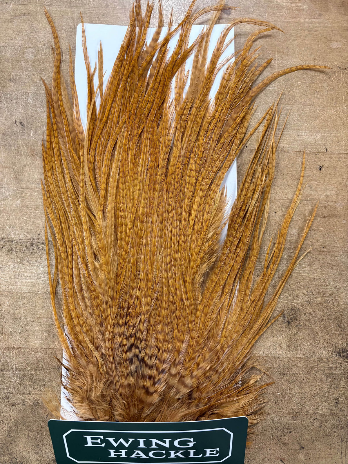 Ewing Saddle Hackle Ginger Grizzly