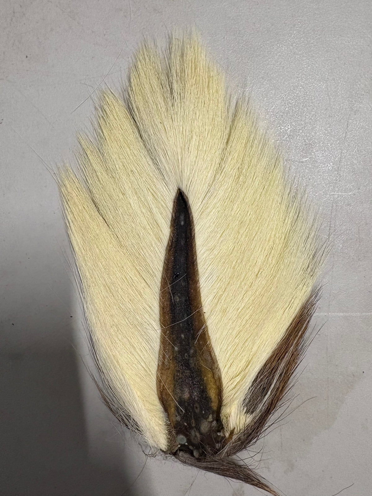 Saltwater Edge Bucktail Standard / Bone