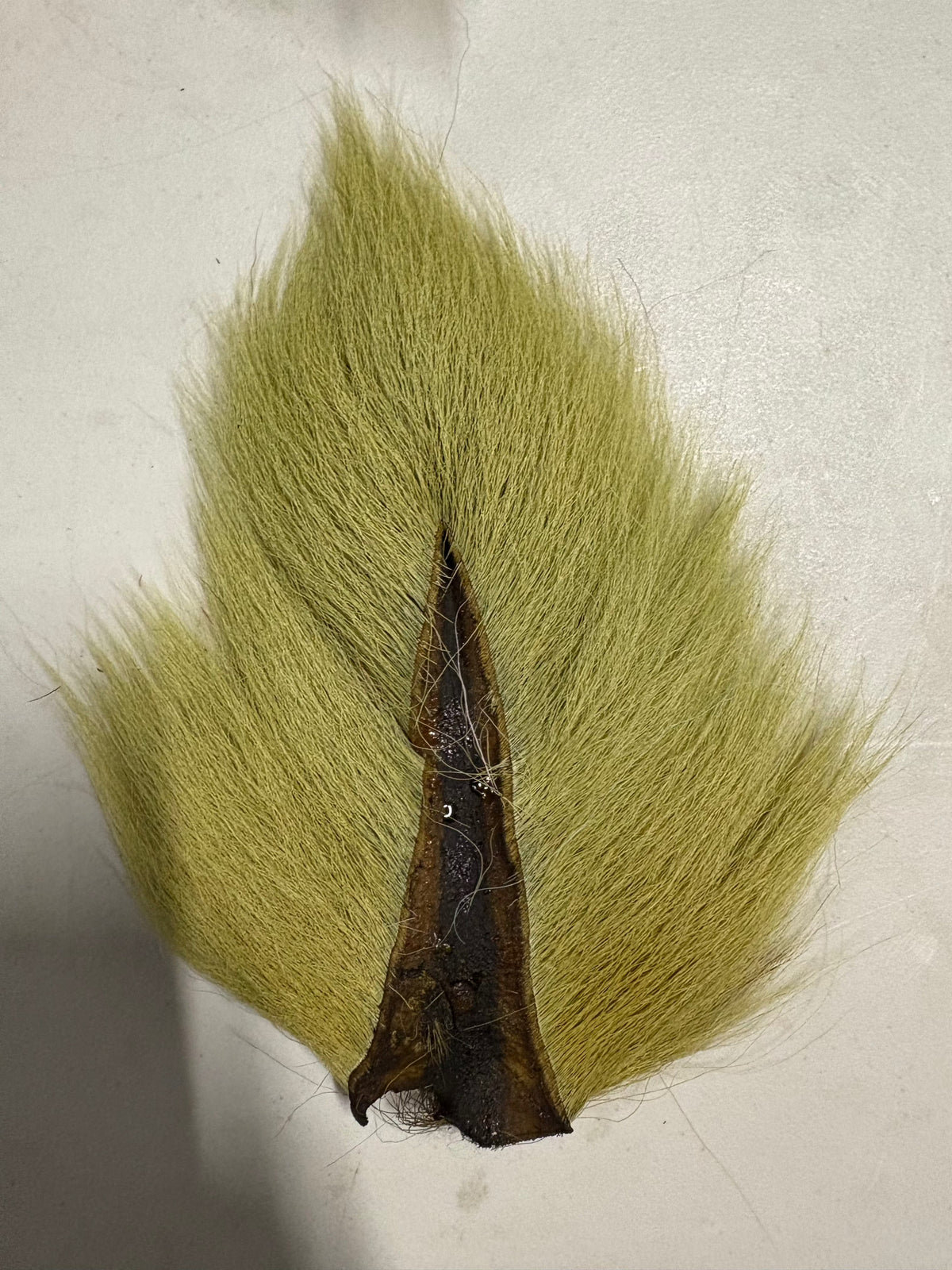 Saltwater Edge Bucktail Standard / Light Olive