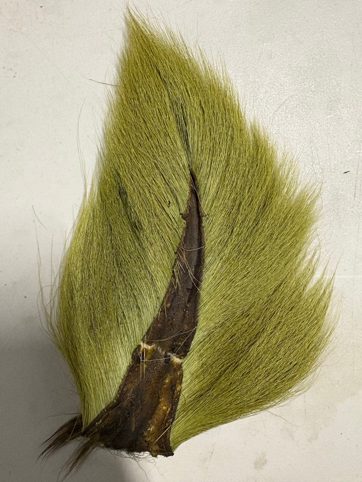 Saltwater Edge Bucktail