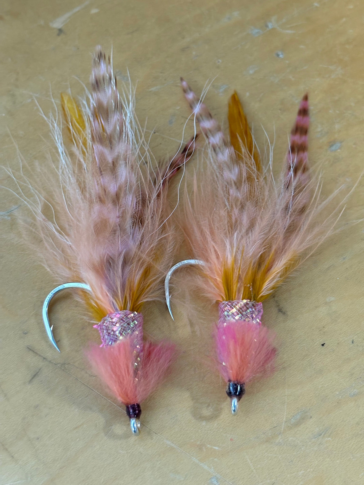 Squid 4/0