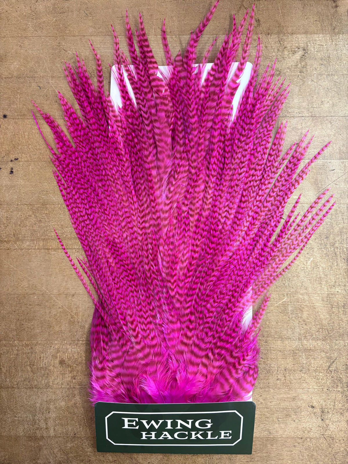 Ewing Saddle Hackle Bright Pink Grizzly