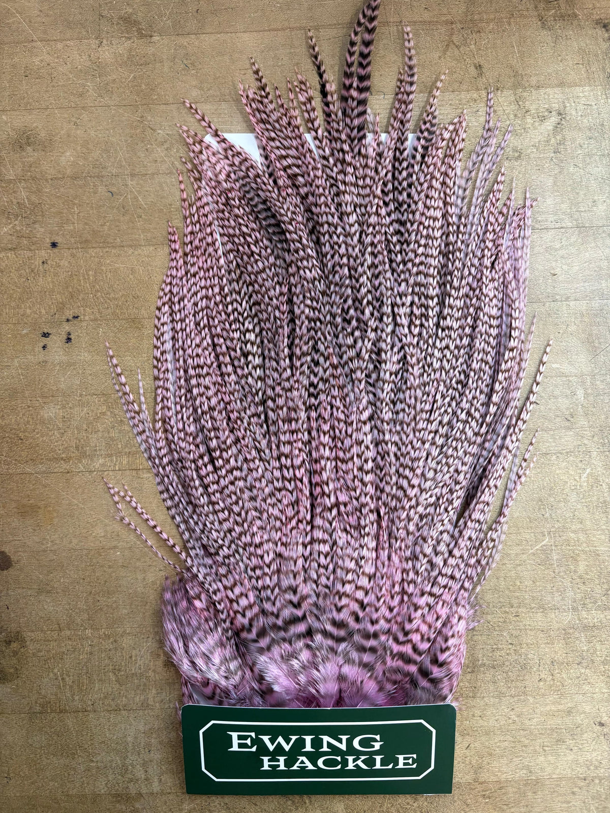 Ewing Saddle Hackle Dyed Light Pink Grizzly