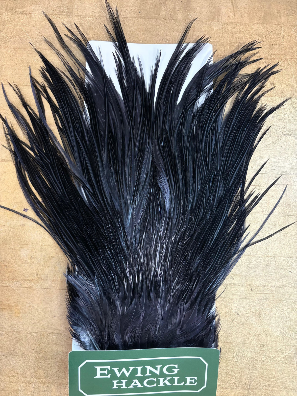 Ewing Saddle Hackle Black
