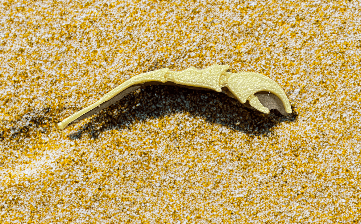 Flats Craft The Claw Small / Tan
