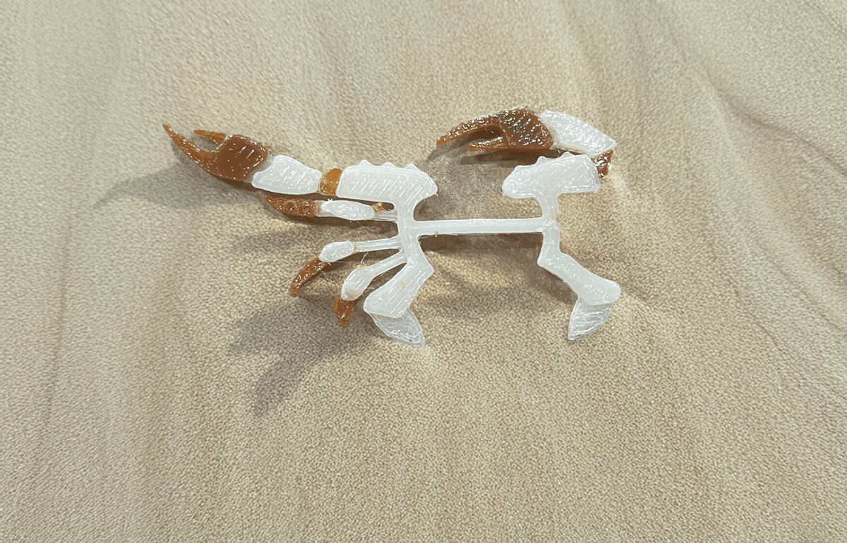 Flats Craft Split Crab Natural/Brown / Small