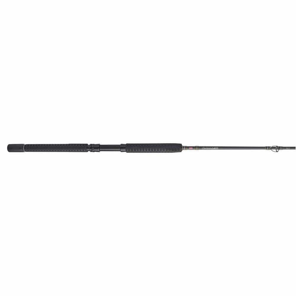 Penn Carnage III Boat Conventional Rod