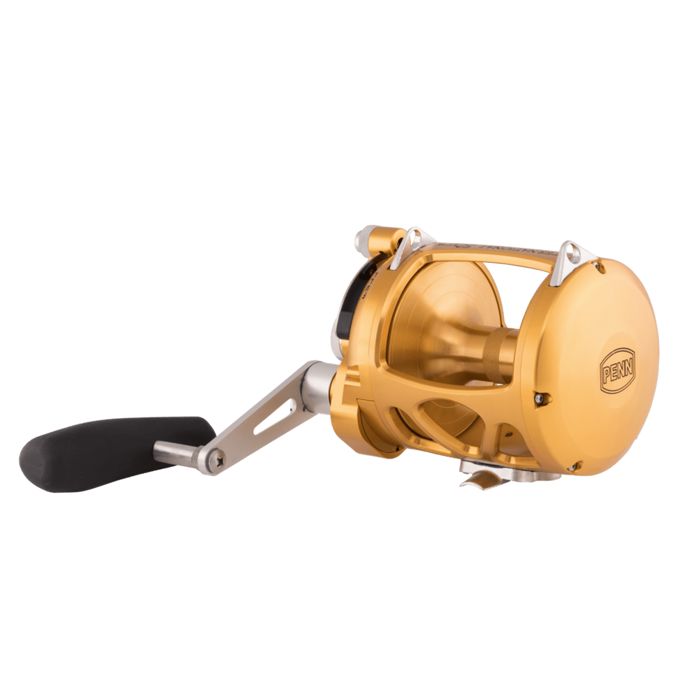 Penn International VI INT50VIW / Gold