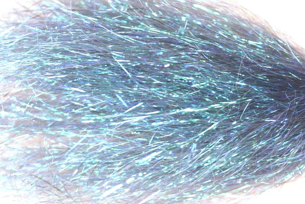 Shiner Herring Back