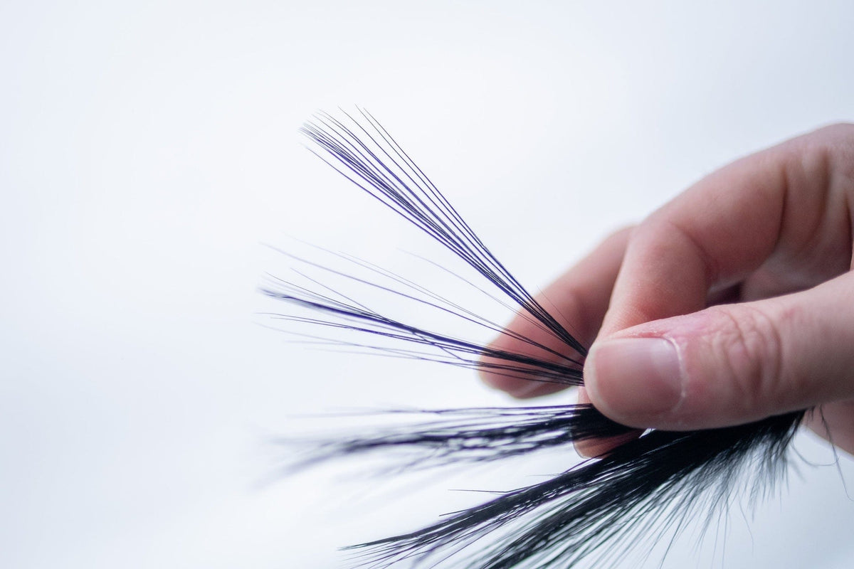 Heron Feathers
