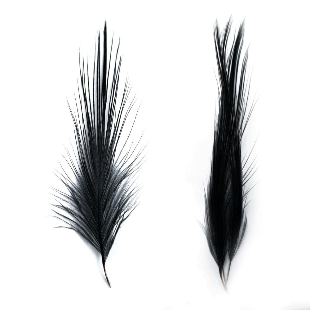 Heron Feathers