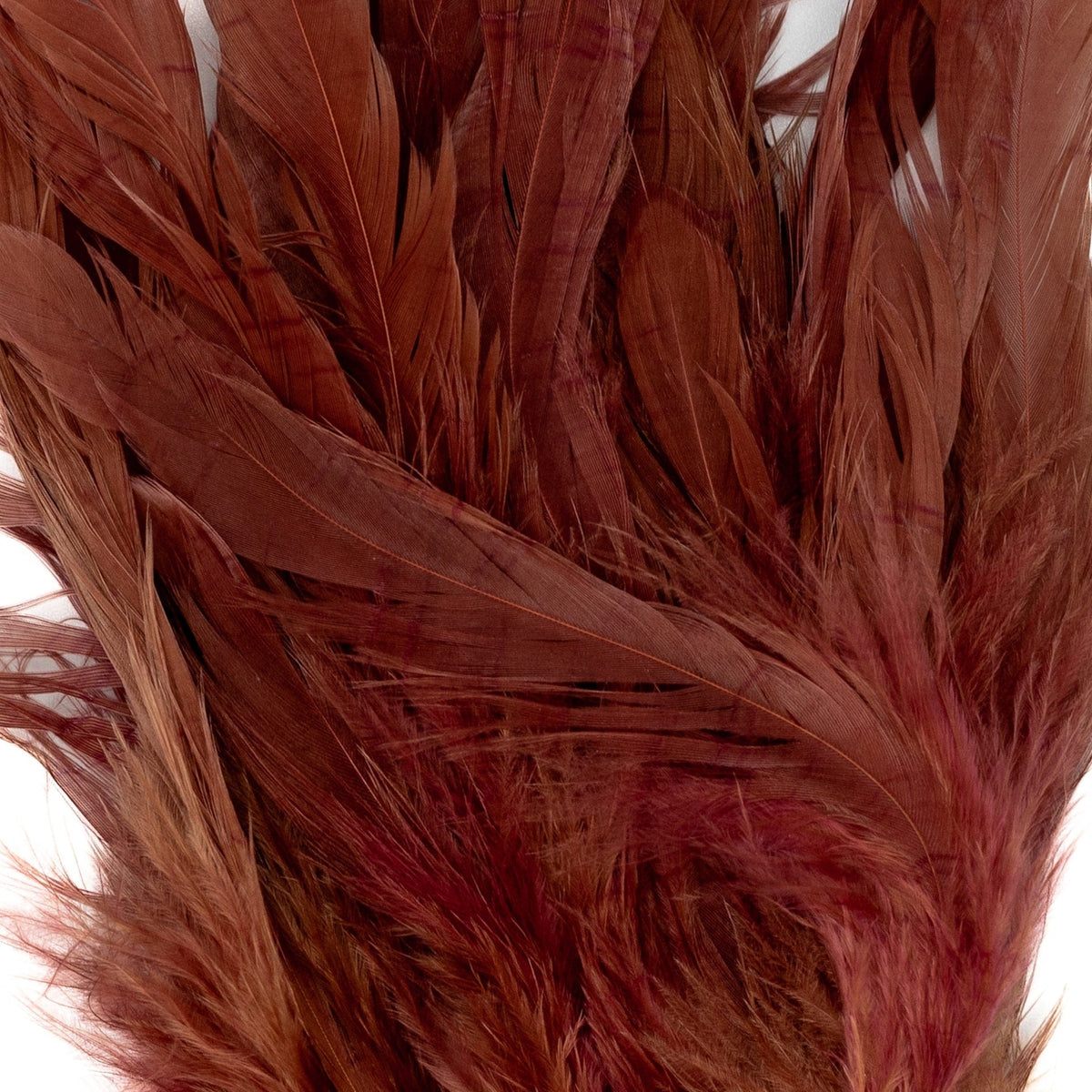 Schlappen 5-7&quot; Brown / 3 Gram