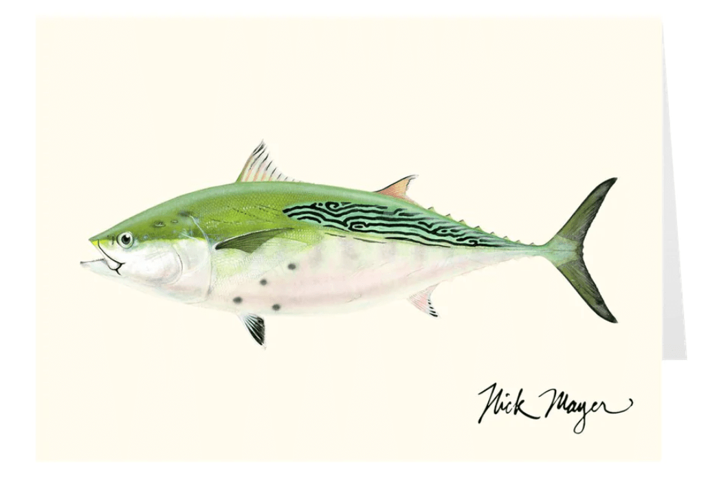 Nick Mayer Note Cards False Albacore