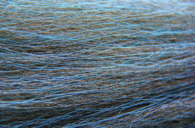 Beast Brushes Yowie Blend Fiber Greenback