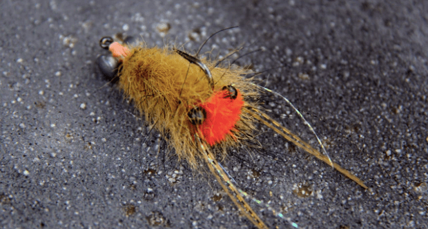 Beast Brushes Crusty Beast Brush Pumpkinseed